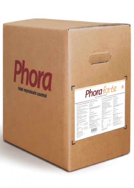 phora-forte809402.png